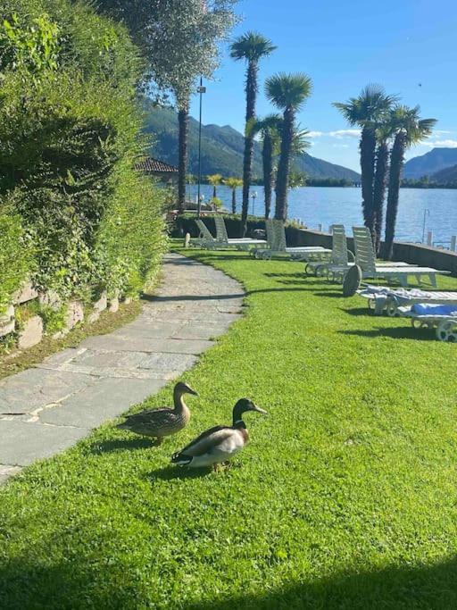 Appartement On The Lugano 2-16 Bissone